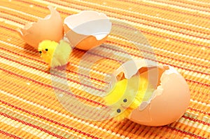 Easter chickens with broken eggshell, chicken or the egg