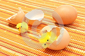 Easter chickens with broken eggshell and fresh egg