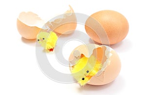 Easter chickens with broken eggshell and fresh egg