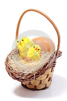 Easter chickens in wicker basket and fresh egg