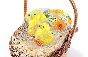 Easter chickens in wicker basket and painted egg