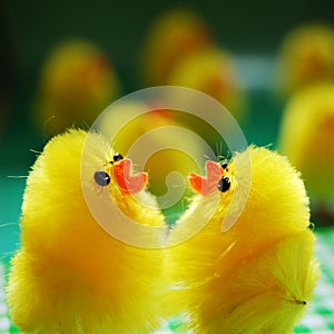 Easter Chicks
