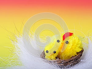 Easter chicks