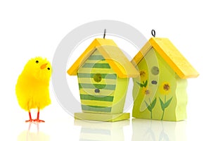 Easter chicks with bird houses