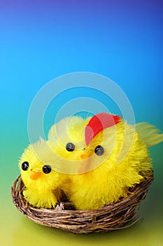 Easter chicks on blue background