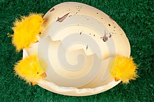Easter chicks on a broken eggshell