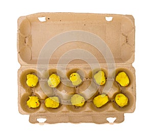 Easter chicks in an eggbox