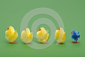 Easter chicks in a line