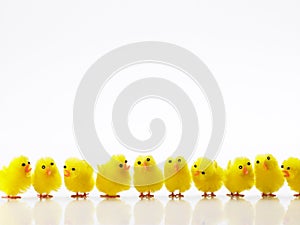 Easter Chicks In A Row