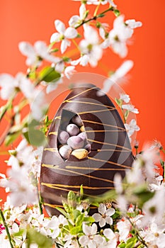 Easter chocolate egg with spring flowers on orange background