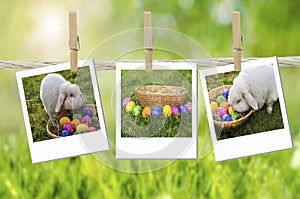 Easter collage photos sign background