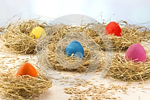 Easter colored eggs in the hay. Little newborn chick