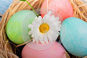 Easter and colored eggs