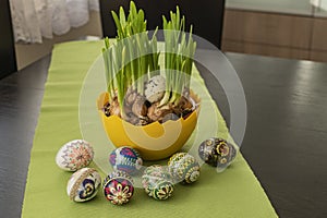 Easter. Colorful Easter eggs on a wooden table and and daffodils