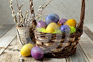 Easter colorful eggs in a basket and willow branches in a birch vase. Easter colorful eggs and willow branches on the