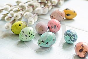 Easter colorful eggs and willow catkins twigs