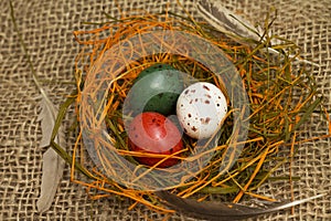 Easter. Colorful nest of chocolate quail eggs