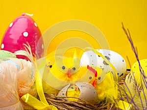 Easter composition, colorful eggs, chicken in nest, color feather