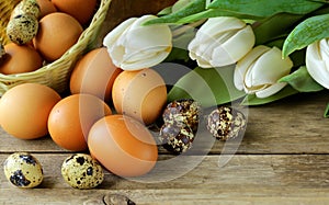 Easter composition with eggs and flowers