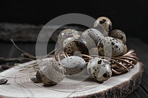 Easter composition with quail eggs and twigs of willow blossom