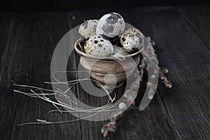 Easter composition with quail eggs and twigs of willow blossom