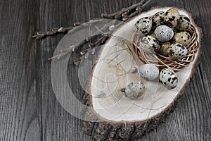 Easter composition with quail eggs and twigs of willow blossom