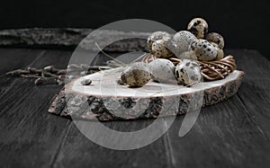 Easter composition with quail eggs and twigs of willow blossom