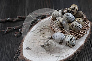 Easter composition with quail eggs and twigs of willow blossom