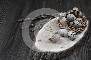 Easter composition with quail eggs and twigs of willow blossom