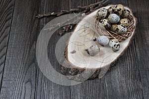 Easter composition with quail eggs and twigs of willow blossom