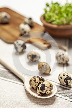 Easter composition with spotted quail eggs