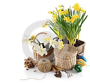 Easter composition with yellow flowers and eggs.