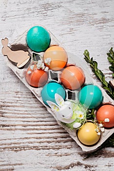 Easter concept with a bunny in nest. Painted easter eggs in egg