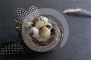 Easter concept - Decorative willow nest with quail eggs, feather on dark rusty background. Copyspace