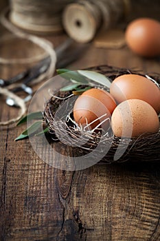 Easter concept with eggs in a nest