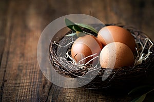 Easter concept with eggs in a nest