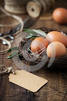 Easter concept with eggs in a nest and an empty tag