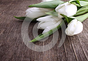 Easter concept - flowerswhite tulips