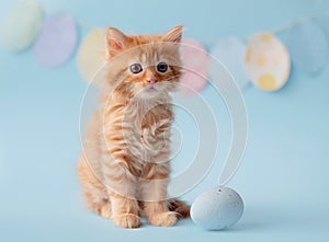 Easter concept. Kitten on blue background with Easter eggs