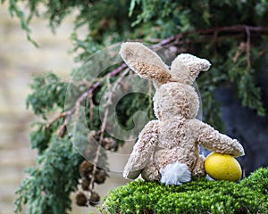 Easter concept. Lonely teddy rabbit with a yellow egg sitting ba