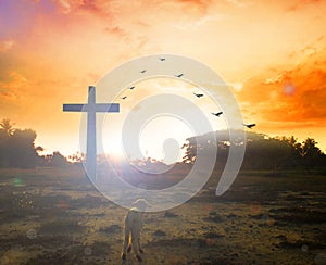 Easter concept:Silhouette cross on Calvary mountain sunset background.