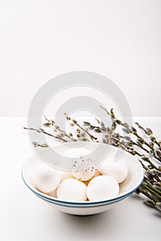 Easter concept. White eggs in bowl, and goat willow branches.
