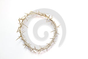 Easter Crown of Thorns isolated on a white background