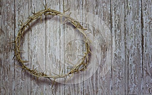 Easter Crown of Thorns on a wood plank rustic background