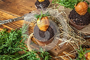 Easter cupcake on wooden background with cookie earth and strawberry carrots