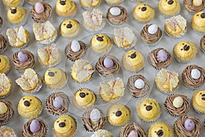 Easter Cupcakes with Eggs, Nests, and Chicks