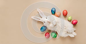 Easter cute bunny lying on his back with his paws raised, on a beige background around him there are colored eggs