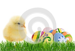 Easter cute chick with eggs