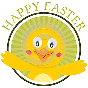 Easter Cute Chick Greeting Card