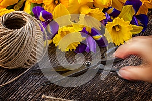 Easter daffodils and irise